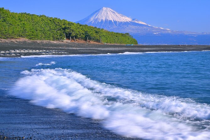 Step-Free Easy Going Tour From Shimizu Port / Small Bus - Inclusions and Accessibility