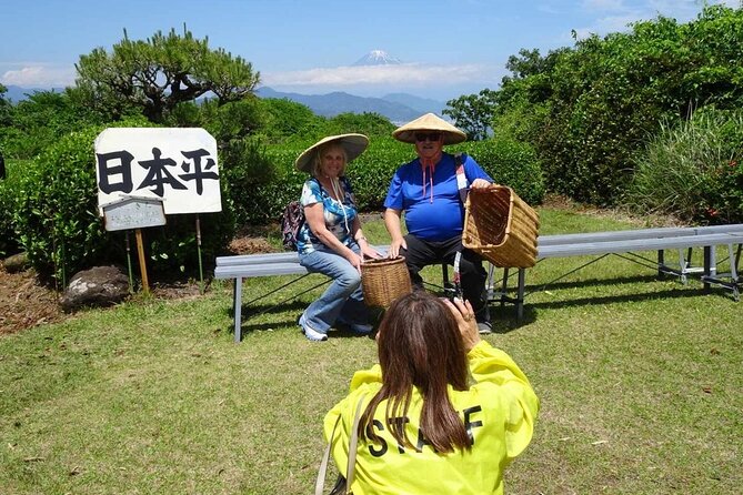 Step-Free Easy Going Tour From Shimizu Port / Small Bus - Exploring Ryuge-ji Temple