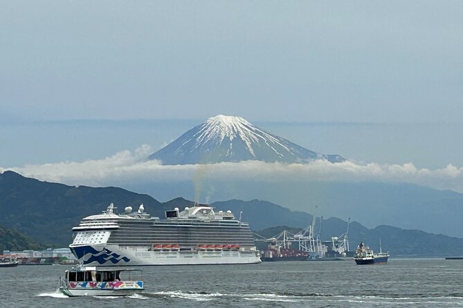 Step-Free Easy Going Tour From Shimizu Port / Van Taxi - Inclusions