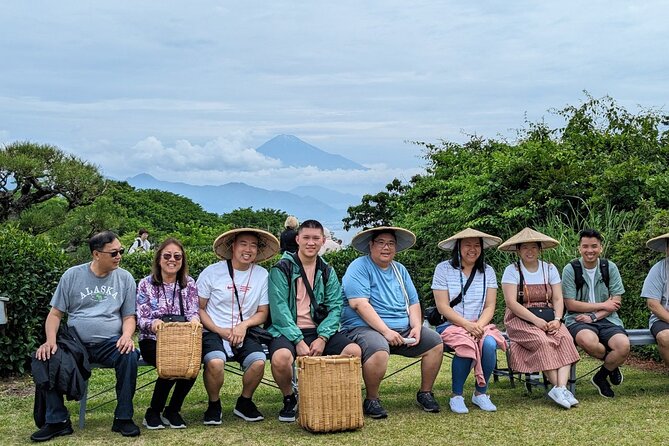 Step-Free Easy Going Tour From Shimizu Port / Van Taxi - Discovering Shizuokas Culinary Delights