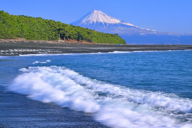 Step-Free Easy Going Tour From Shimizu Port / Van Taxi - Customizing Your Experience