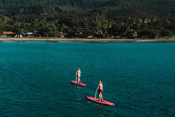 Step Paddle Rental in Guadeloupe - Location and Meeting Point