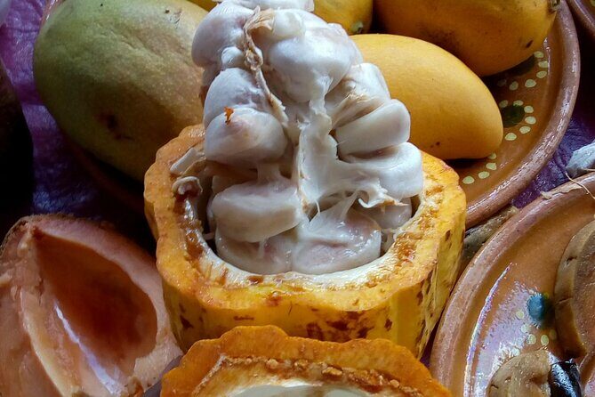 Steps Full of Flavor, Cancun Foodie & Market Tour - The Itinerary Breakdown