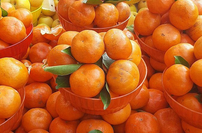 Steps Full of Flavor, Cancun Foodie & Market Tour - Why This Tour Is a Great Choice