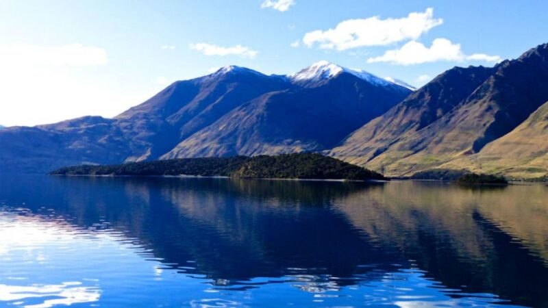 Stevensons Island 2-Hour Cruise and Nature Walk - Itinerary and Experience