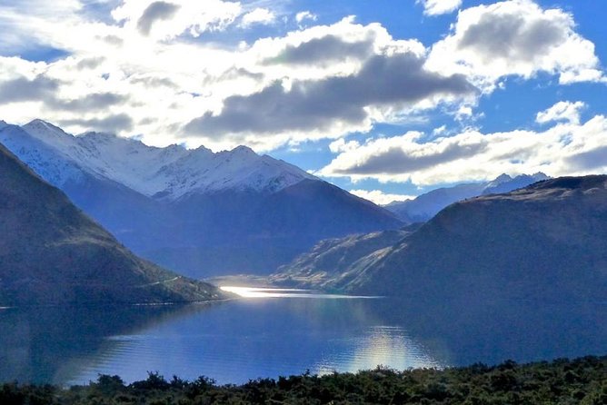 Stevensons Island Cruise and Nature Walk From Wanaka - Customer Feedback