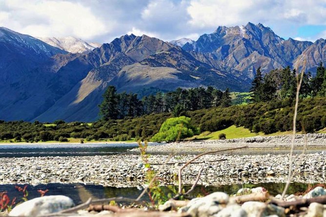 Stevensons Island Cruise and Nature Walk From Wanaka - Refreshments and Return Journey