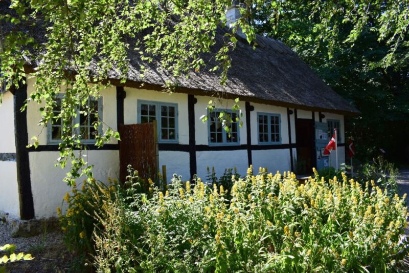 Stevns Klint: Scenic Hiking at a UNESCO World Heritage Site - Local History and Stories