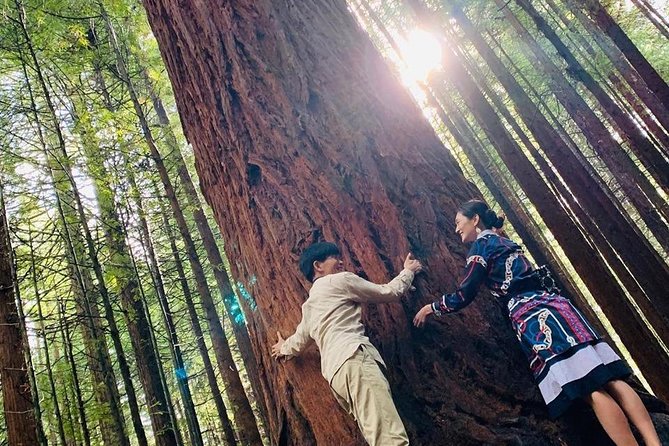 [Stevong] Blue Springs, Redwood Forest, Huka Falls Private Tour - Booking Information