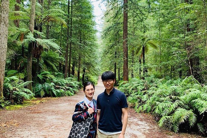 [Stevong] Blue Springs, Redwood Forest, Huka Falls Private Tour - Scenic Attractions