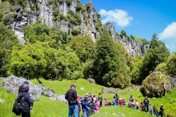 [Stevong Travel] 12-Hour LOTR Trollshaws & Waitomo Glowworm Tour - Health and Accessibility