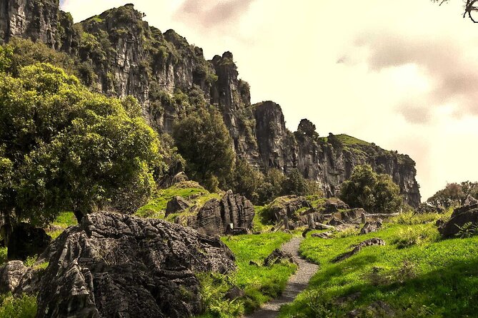 [Stevong Travel] 12-Hour LOTR Trollshaws & Waitomo Glowworm Tour - Meeting and Pickup