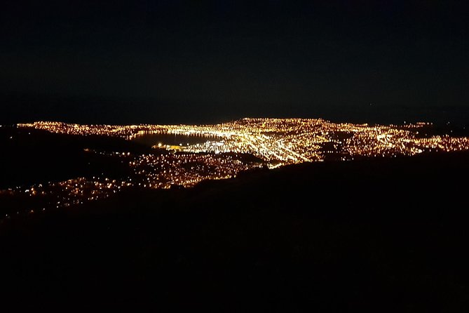 [Stevong Travel] Dunedin Private Tour 3D2N From Christchurch - Accommodation Options