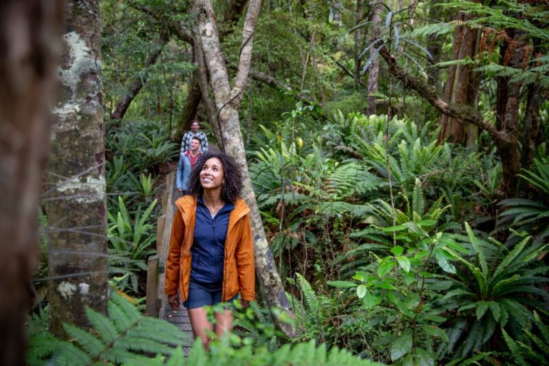 Stewart Island: Ulva Island Guided Wilderness Walk & Cruise - Key Points
