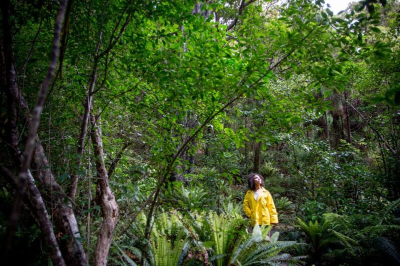 Stewart Island: Ulva Island Guided Wilderness Walk & Cruise - Detailed Description