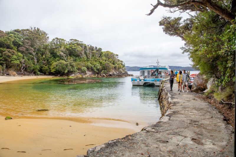 Stewart Island: Ulva Island Guided Wilderness Walk & Cruise - Meeting Point & What to Bring
