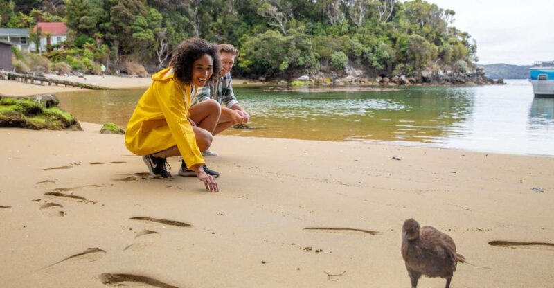 Stewart Island: Ulva Island Guided Wilderness Walk & Cruise - Customer Reviews