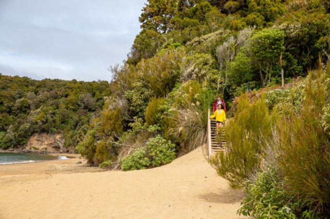 Stewart Island: Ulva Island Guided Wilderness Walk & Cruise - Guided Walk on Ulva Island
