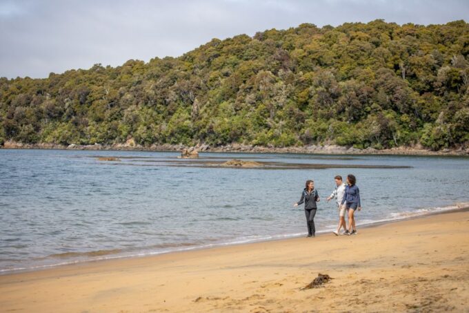 Stewart Island: Ulva Island Guided Wilderness Walk & Cruise - Native Wildlife & Nature Sights