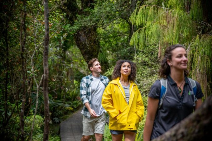 Stewart Island: Ulva Island Guided Wilderness Walk & Cruise - Recap