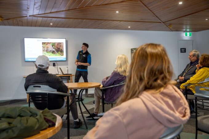 Stewart Island: Wild Kiwi Encounter - Getting to Stewart Island