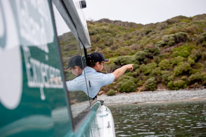 Stewart Island: Wild Kiwi Encounter - Recap