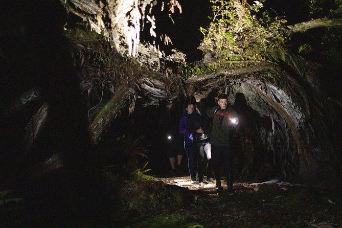 Stewart Island Wild Kiwi Encounter - Independent Kiwi Spotting