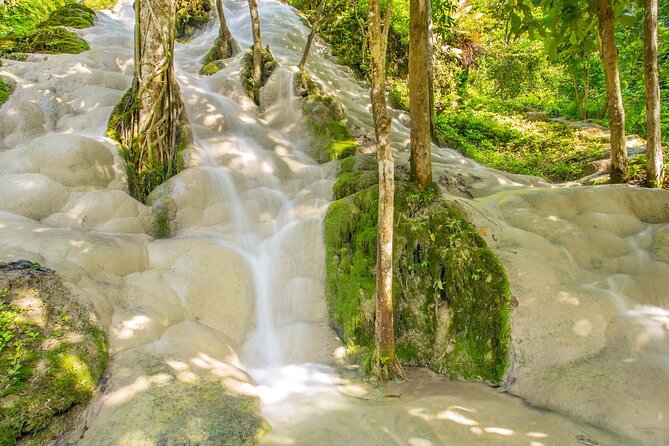 Sticky Waterfall Chiang Mai and Mae Ngat Boat Tour - Reviews and Feedback