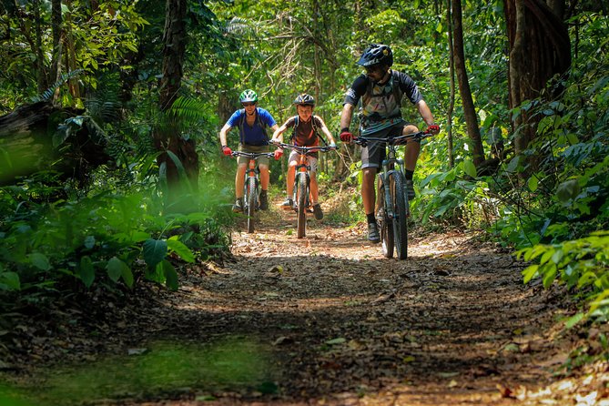 Sticky Waterfall Cycling Tour - Group Size and Fitness Level