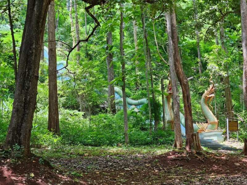 Sticky Waterfall & Wild Temple & Rare Forest Market. - Bua Thong Sticky Waterfalls