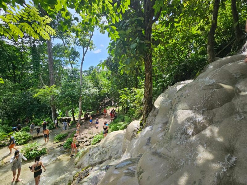 Sticky Waterfall & Wild Temple & Rare Forest Market. - Browsing the Local Forest Market