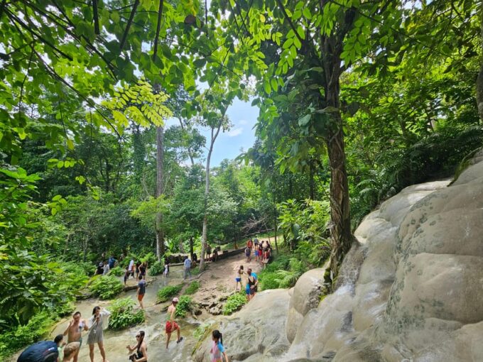 Sticky Waterfall & Wild Temple & Rare Forest Market. - Frequently Asked Questions