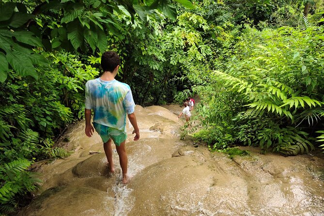 Sticky Waterfalls. Local Market. Rice Fields. Cycling & Temples. - Booking Information