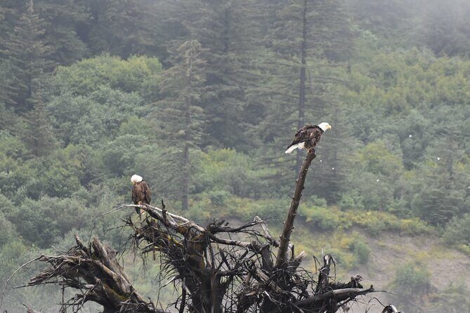 Stikine River Wilderness Tour - FAQ