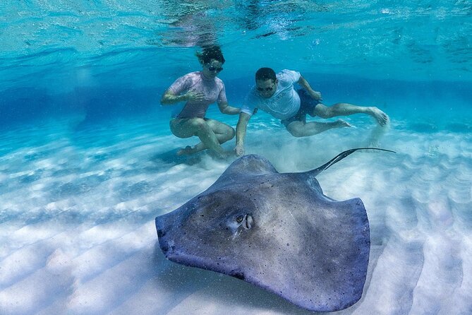 Stingray City and Barrier Reef Snorkel - Accessibility and Requirements