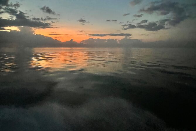 Stingray City and Snorkeling Private Charter - Tailored Experience