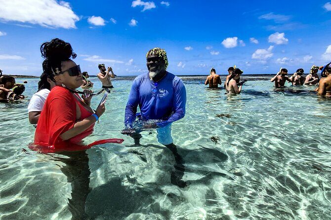 Stingray City Antigua for all the ages - ROUND TRIP INCLUDED - The Sum Up