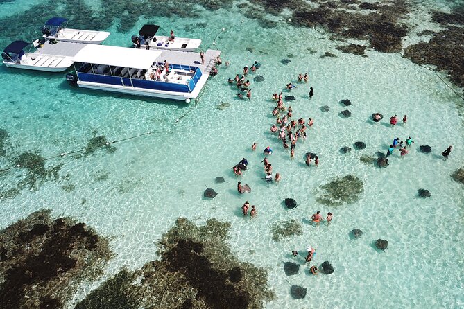 Stingray City Experience Antigua - ONLY TICKET - About Your Stay