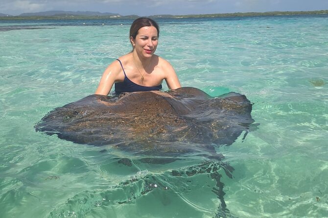 Stingray City Experience Antigua - ONLY TICKET - Customer Feedback and Ratings