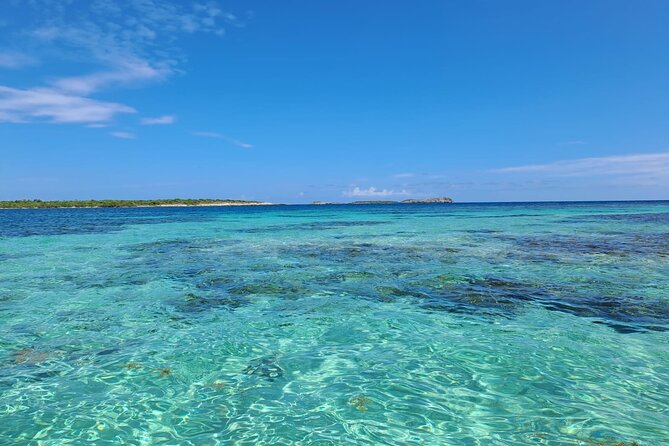 Stingray City Experience Antigua - ONLY TICKET - Safety Considerations