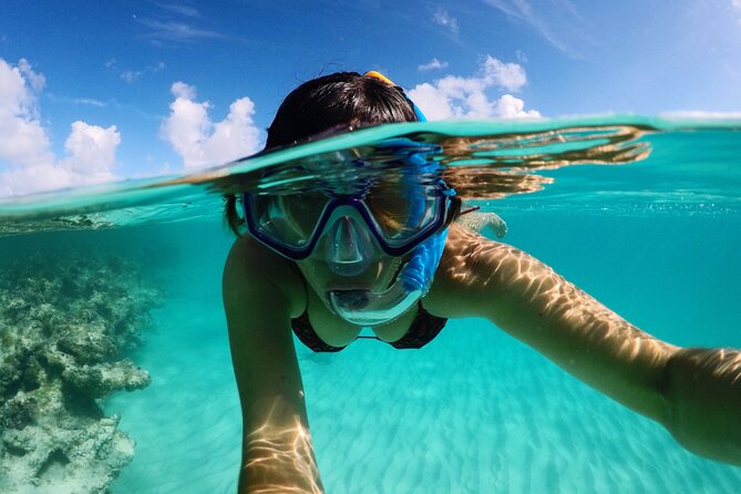 Stingray City Experience Antigua - ROUND TRIP INCLUDED - Meeting and Pickup