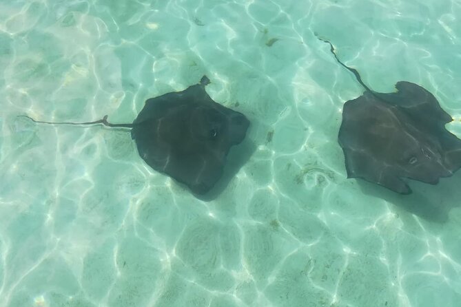 Stingray City Experience, Devils Bridge and Long Bay Beach - Inclusions and Pickup Details