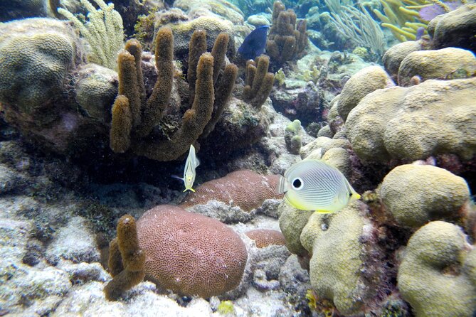 Stingray City Private Charters - Health and Accessibility Considerations
