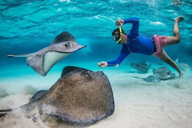 Stingray City Sandbar, Coral Gardens Snorkeling & Star Fish Point - A Closer Look at the Experience