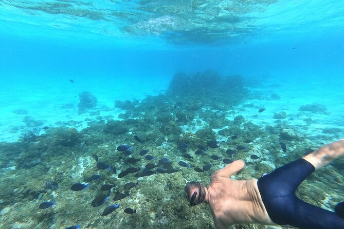 Stingray City, Star Fish Point and Snorkeling Private Boat Tour - Overview and Experience