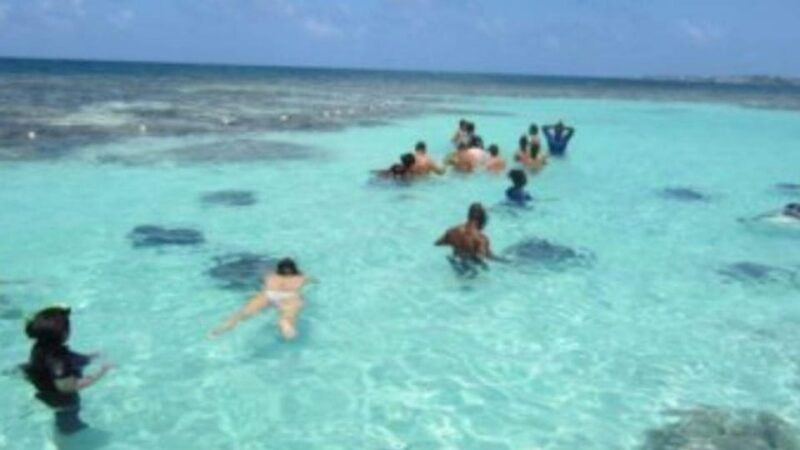 Stingrays Adventure and Long Bay Beach - Key Points