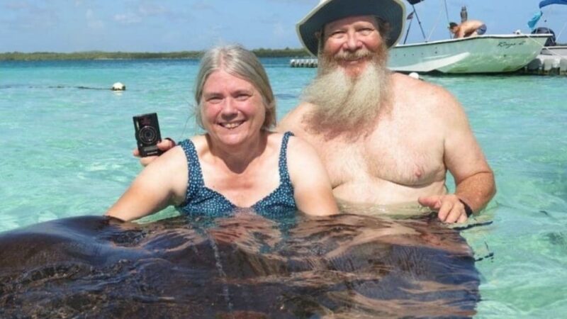 Stingrays Adventure and Long Bay Beach - Customer Experience