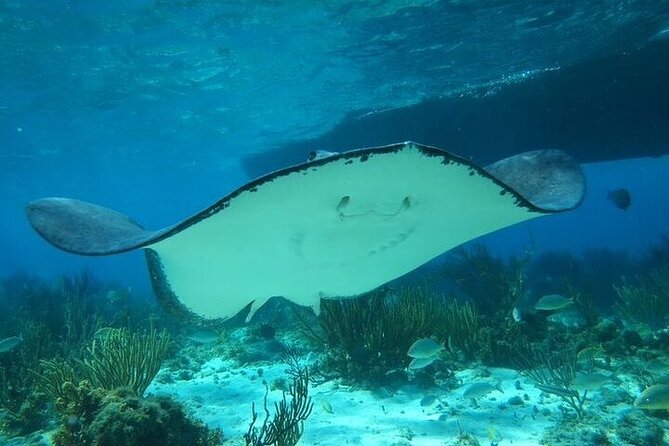 Stingrays, Starfish and Snorkeling Tour - Capturing Memorable Moments With Photography