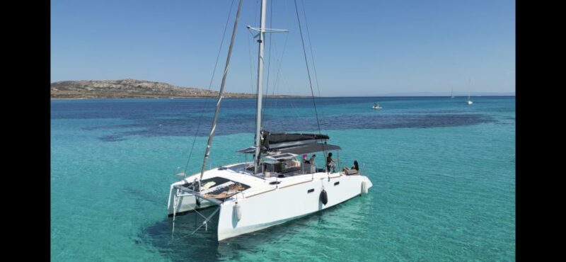 Stintino: Full Day Trip Catamaran Asinara Island - Highlights of the Experience