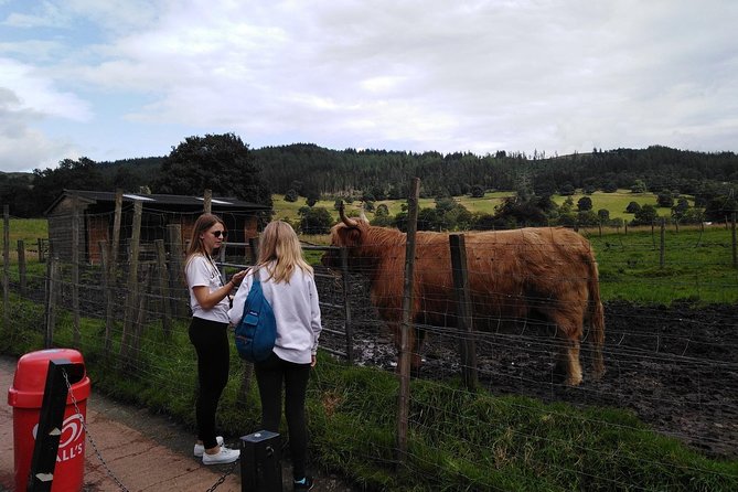 Stirling Castle, Hairy Coos & The Trossachs - Exploring Stirling Castles History